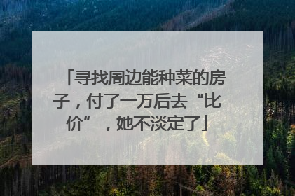 寻找周边能种菜的房子，付了一万后去“比价”，她不淡定了