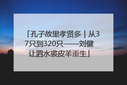 孔子故里孝贤多｜从37只到320只——刘健让泗水裘皮羊重生