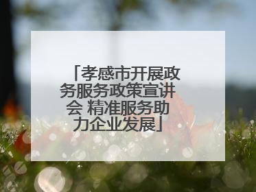 孝感市开展政务服务政策宣讲会 精准服务助力企业发展