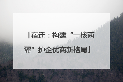 宿迁：构建“一核两翼”护企优商新格局