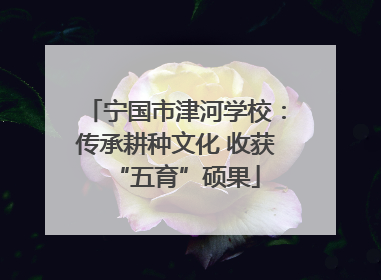 宁国市津河学校：传承耕种文化 收获“五育”硕果