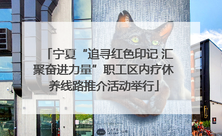 宁夏“追寻红色印记 汇聚奋进力量”职工区内疗休养线路推介活动举行
