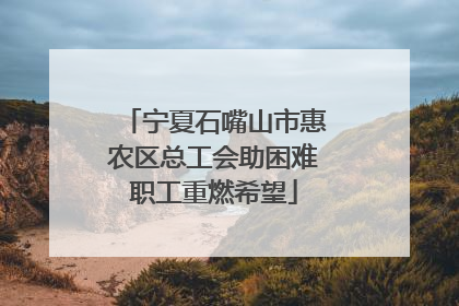宁夏石嘴山市惠农区总工会助困难职工重燃希望
