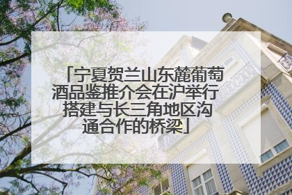 宁夏贺兰山东麓葡萄酒品鉴推介会在沪举行 搭建与长三角地区沟通合作的桥梁