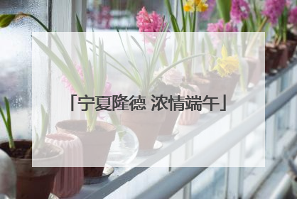 宁夏隆德 浓情端午