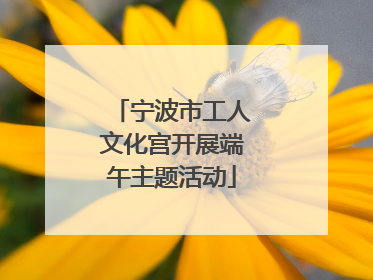 宁波市工人文化宫开展端午主题活动