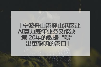 宁波舟山港穿山港区让AI算力既懂业务又能决策 20年的数据“喂”出更聪明的港口