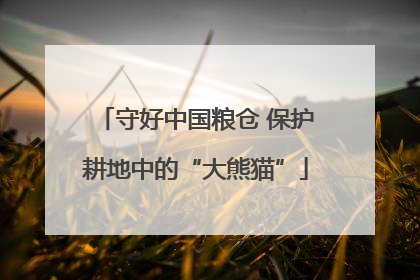 守好中国粮仓 保护耕地中的“大熊猫”