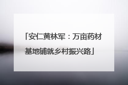 安仁黄林军：万亩药材基地铺就乡村振兴路