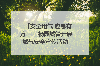 安全用气 应急有方——杨园城管开展燃气安全宣传活动