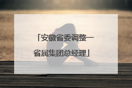 安徽省委调整一省属集团总经理