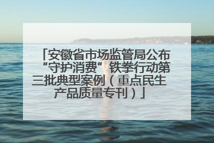 安徽省市场监管局公布“守护消费”铁拳行动第三批典型案例（重点民生产品质量专刊）
