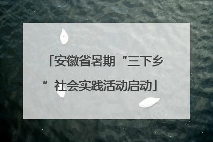 安徽省暑期“三下乡”社会实践活动启动