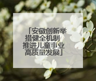 安徽创新举措健全机制 推进儿童事业高质量发展
