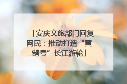 安庆文旅部门回复网民：推动打造“黄鹄号”长江游轮