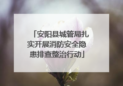 安阳县城管局扎实开展消防安全隐患排查整治行动