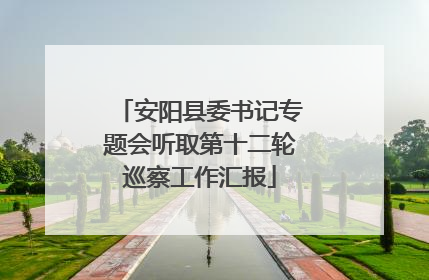 安阳县委书记专题会听取第十二轮巡察工作汇报