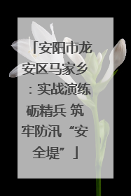 安阳市龙安区马家乡：实战演练砺精兵 筑牢防汛“安全堤”