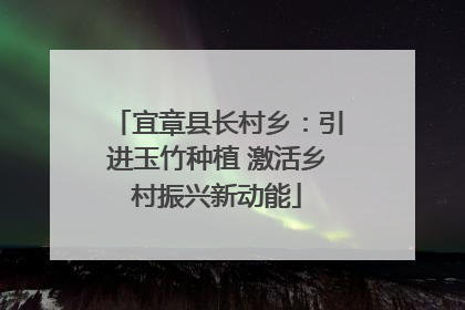 宜章县长村乡：引进玉竹种植 激活乡村振兴新动能