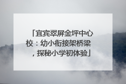 宜宾翠屏金坪中心校：幼小衔接架桥梁，探秘小学初体验