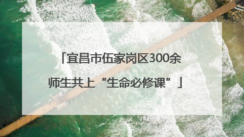 宜昌市伍家岗区300余师生共上“生命必修课”