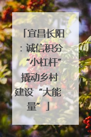 宜昌长阳：诚信积分“小杠杆” 撬动乡村建设“大能量”
