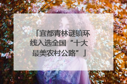 宜都青林谜镇环线入选全国“十大最美农村公路”