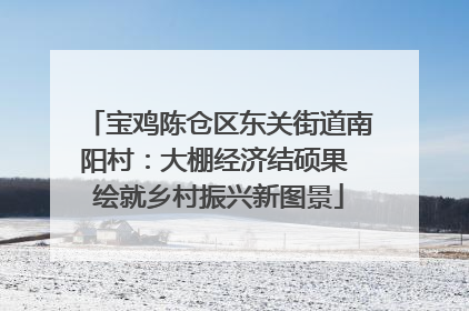 宝鸡陈仓区东关街道南阳村：大棚经济结硕果 绘就乡村振兴新图景