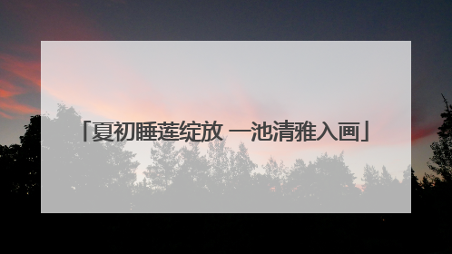 夏初睡莲绽放 一池清雅入画
