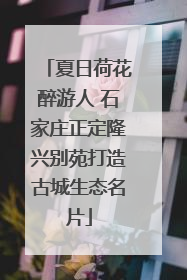 夏日荷花醉游人 石家庄正定隆兴别苑打造古城生态名片