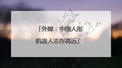 外媒：中国人形机器人志存高远