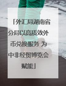 外汇局湖南省分局以高质效外币兑换服务 为中非经贸博览会赋能