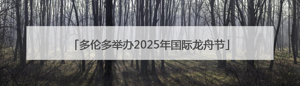 多伦多举办2025年国际龙舟节