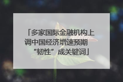 多家国际金融机构上调中国经济增速预期 “韧性”成关键词