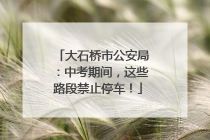 大石桥市公安局：中考期间，这些路段禁止停车！