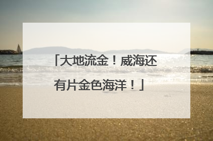 大地流金！威海还有片金色海洋！