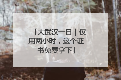 大武汉一日｜仅用两小时，这个证书免费拿下