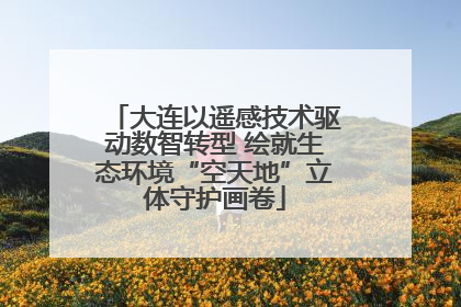 大连以遥感技术驱动数智转型 绘就生态环境“空天地”立体守护画卷