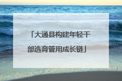 大通县构建年轻干部选育管用成长链