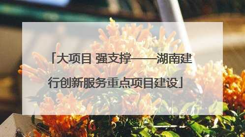 大项目 强支撑——湖南建行创新服务重点项目建设