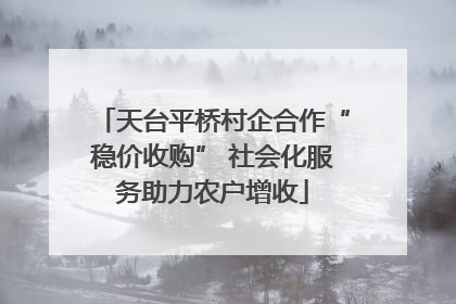 天台平桥村企合作“稳价收购” 社会化服务助力农户增收