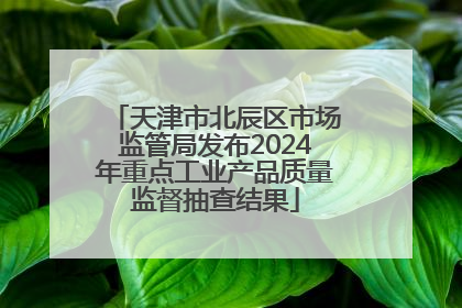 天津市北辰区市场监管局发布2024年重点工业产品质量监督抽查结果