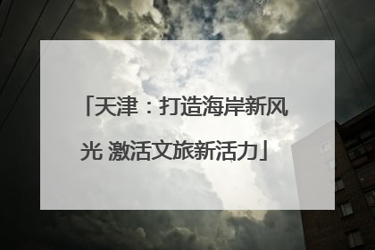 天津：打造海岸新风光 激活文旅新活力