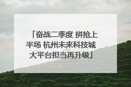 奋战二季度 拼抢上半场 杭州未来科技城大平台担当再升级
