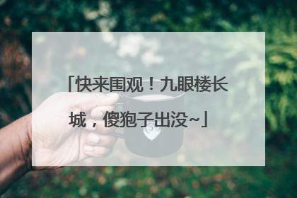 快来围观！九眼楼长城，傻狍子出没~