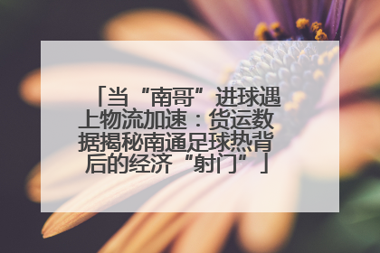 当“南哥”进球遇上物流加速：货运数据揭秘南通足球热背后的经济“射门”