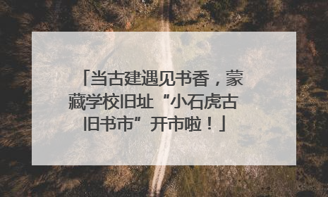 当古建遇见书香，蒙藏学校旧址“小石虎古旧书市”开市啦！