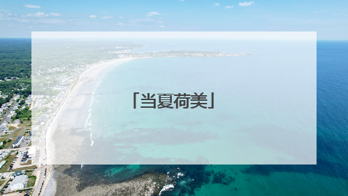 当夏荷美
