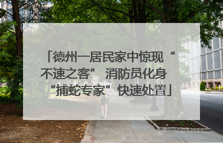 德州一居民家中惊现“不速之客” 消防员化身“捕蛇专家”快速处置