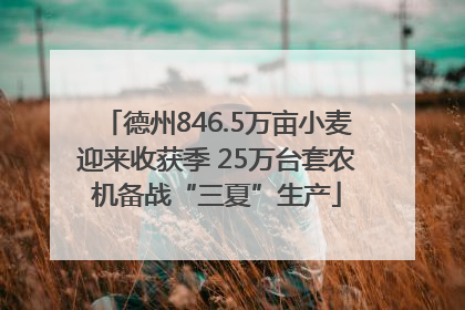 德州846.5万亩小麦迎来收获季 25万台套农机备战“三夏”生产